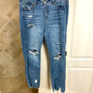 American Rag Ripped Jeans 16w